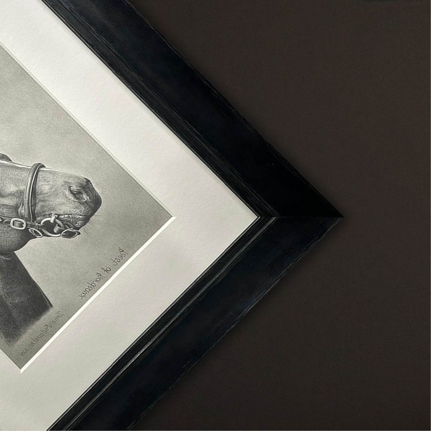 Inna Mulcaster Horse Portrait Framed in Black Inna Mulcaster Horse Portrait Framed in Black