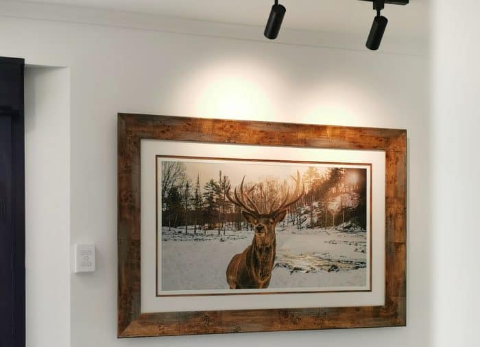 Reindeer in the Snow Photographed and Framed in a Handcrafted Wood Frame