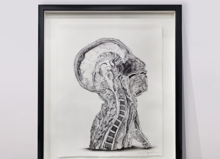 Sonya G. Peters’ Cadaver Museum Project