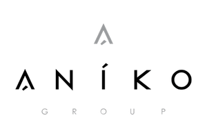 Aniko Group Logo